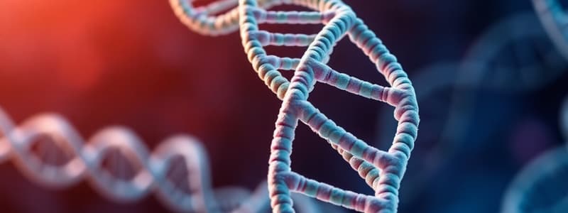 Prokaryotic DNA-Binding Proteins and HTH Motif