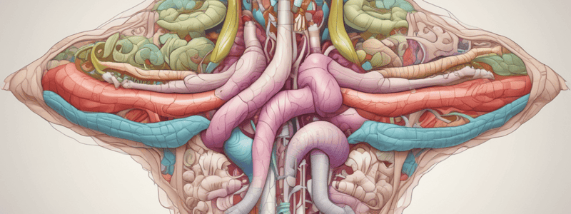 Digestive Tract: Introduction