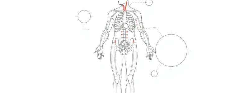 Il bilancio degli H+: pH e regolazione (Fisiologia 107)