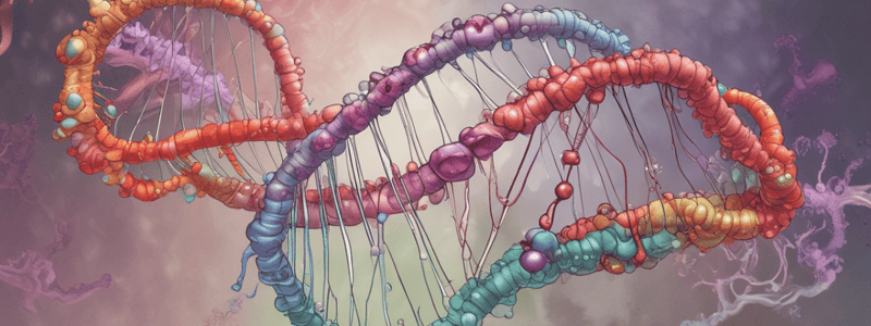 Types of Mutations in Genetics