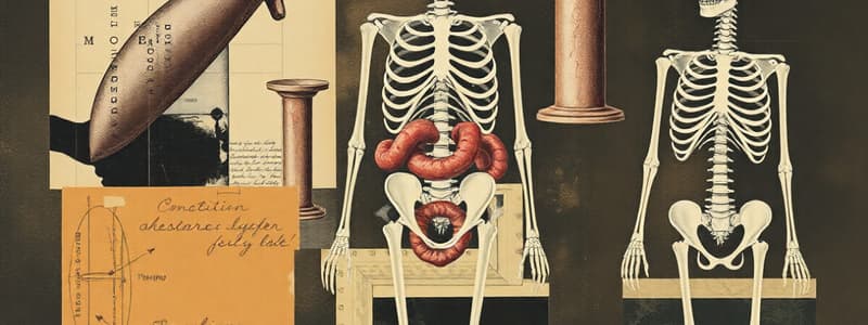 Biology Chapter: Digestion and Skeletal System