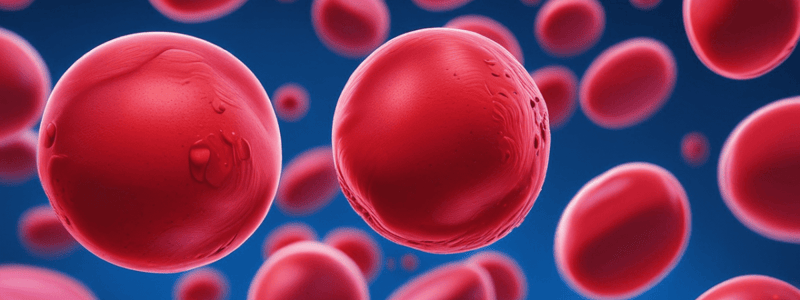 Red Blood Cells (RBCs) Functions and Production