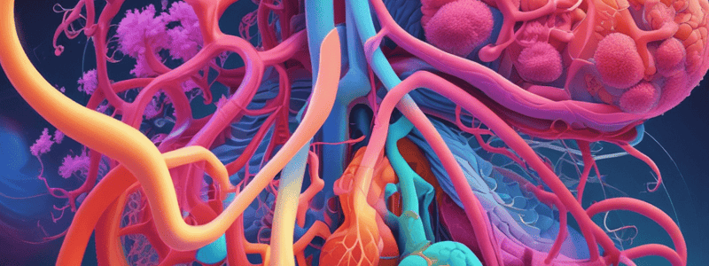 Structure of Lungs and Gas Exchange