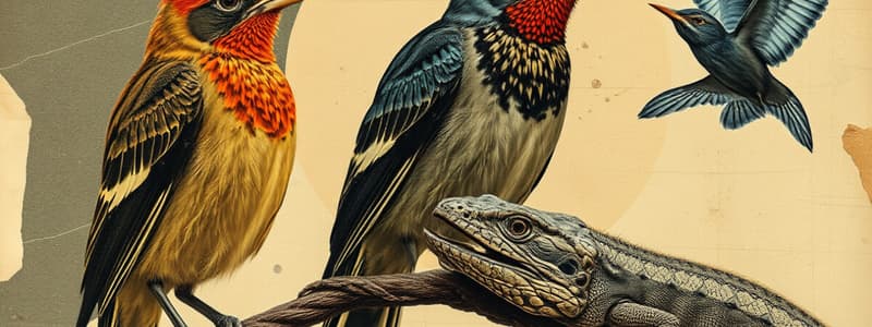 Birds and Reptiles Overview