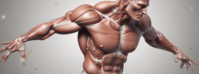 Lecture 12: Muscles