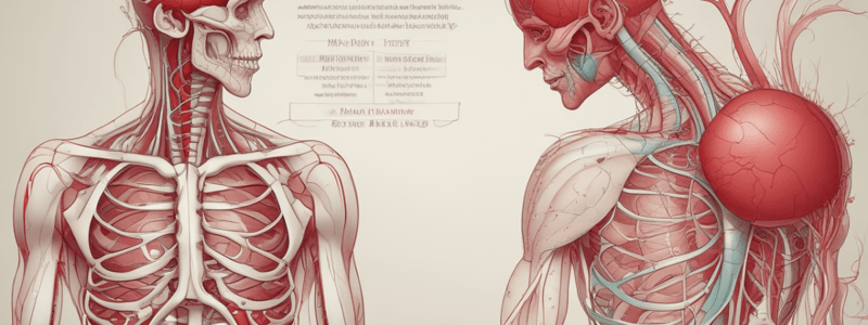 Lecture 13: Circulation