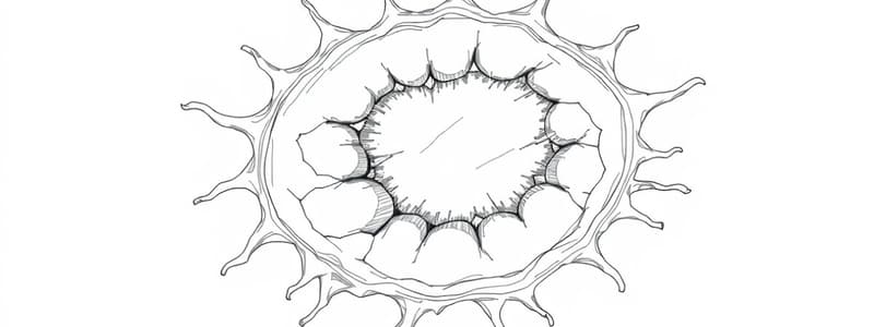 Metaplasia Overview and Mechanisms