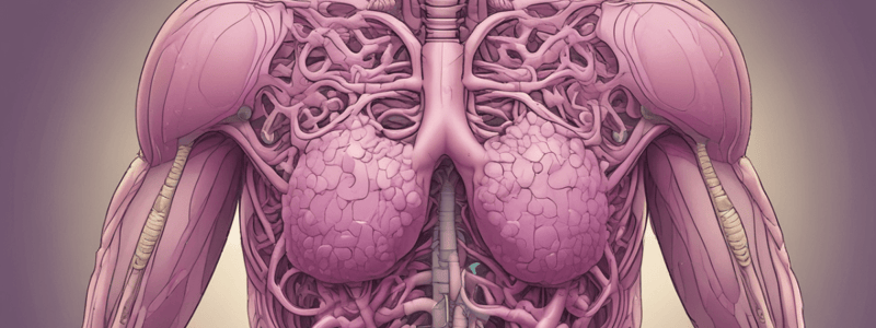 Thymus Development and Function