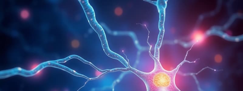 Neuroscience: Synapses and Action Potentials