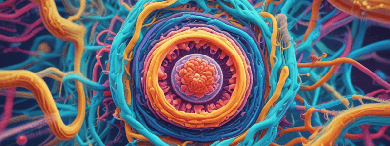 Cellular Transport and Microtubule Structure Quiz