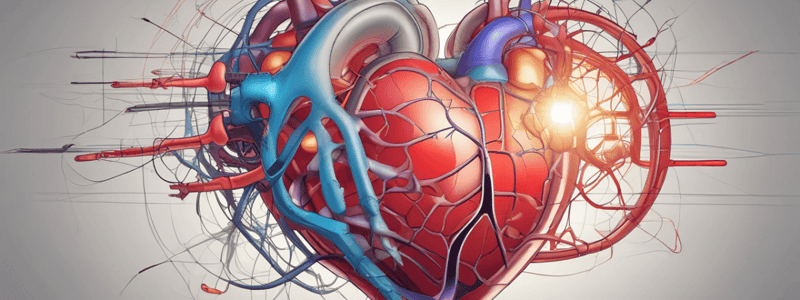 Cardiac Physiology Basics