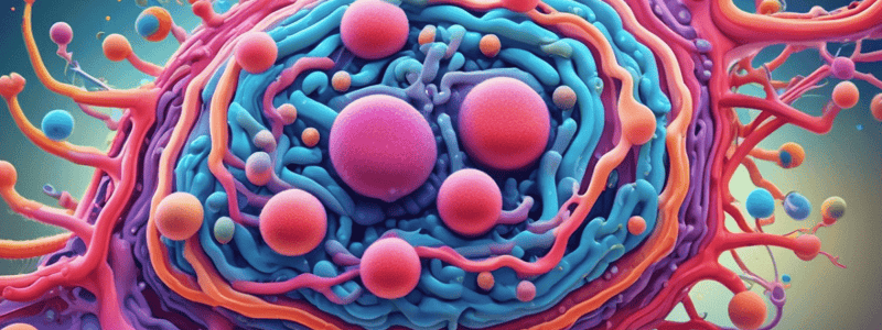 Bacterial Cell Structure Quiz