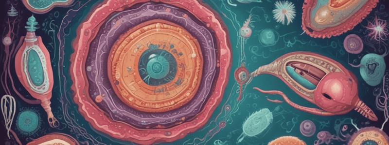 Parasitology Quiz: Protozoa and Helminth Diseases