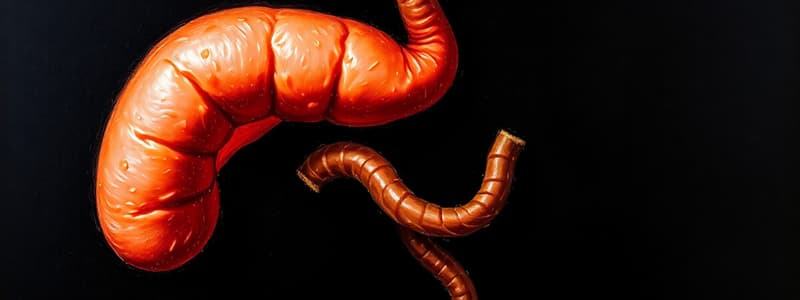 Human Biology: The Pancreas and Diabetes