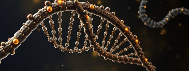 DNA and RNA Nucleotide Structure