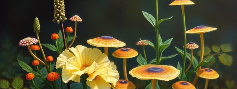 Plant Diversity, Seed Evolution, and Fungi