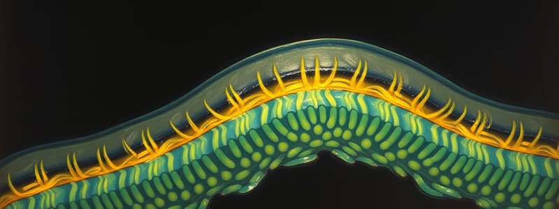 Biology Module 1: Plasma Membrane Overview