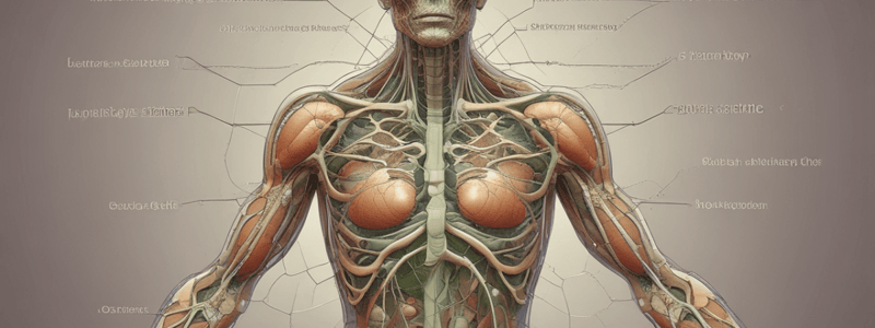 Lymphatic System's Role in Nutrient Absorption