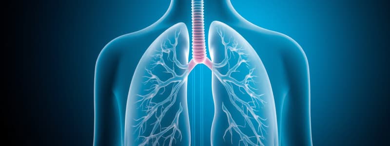 Breathing Process Overview