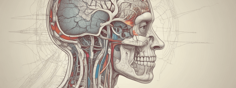 Fisiologia del Sistema Nervoso Centrale