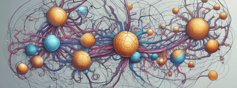 Neurotransmitter Release Types