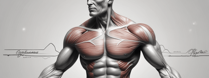 Nervous Control of Muscle Contraction