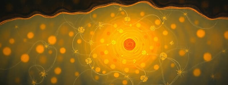 Membrane Transport Overview