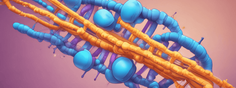 Chromatin Structure and Chromosome Organization