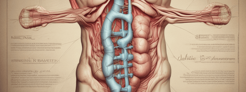 Abdominal Wall Masses and Hernias Quiz