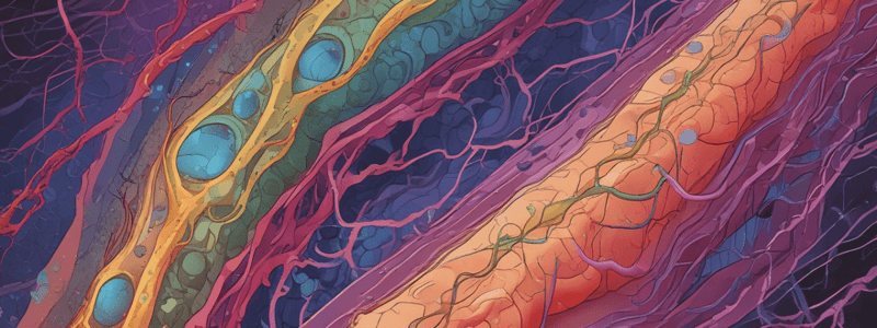 Cell Junctions in Epithelial Tissue