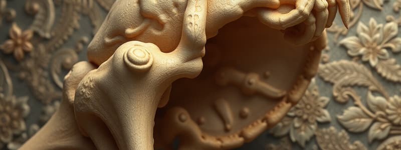 Bone Formation and Repair Processes