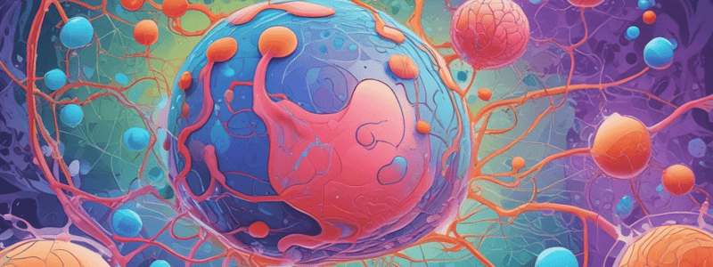 Stem Cells Types and Functions