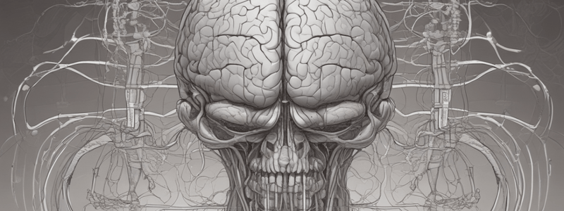 Basal Ganglia Overview and Components