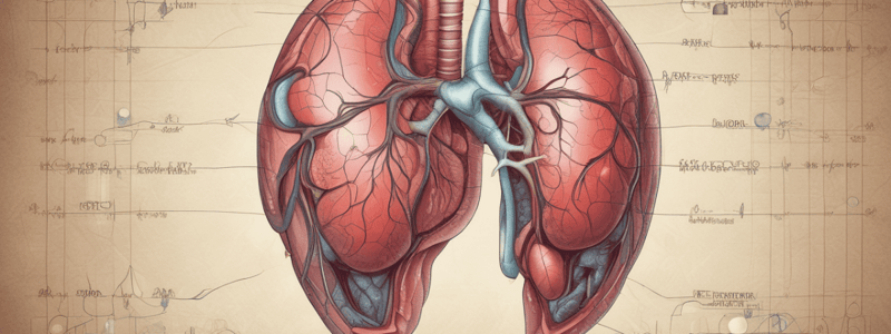 Bioquímica: Función Hepática y Anatomía del Hígado