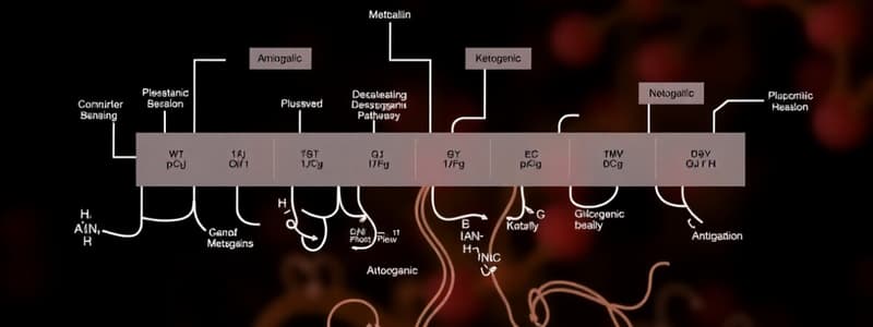 Lippincott's Biochemistry Chapter 20 - Amino Acids (Degradation and Synthesis)