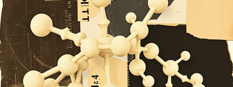 Carbohydrate Classification and Structure