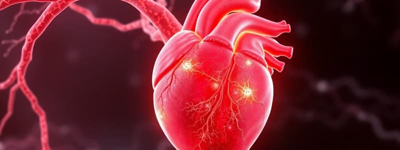 Cardiac Muscle Structure and Function