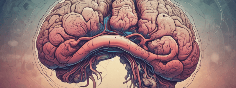 Introduction to Neuroscience: Forebrain and Cerebral Hemispheres