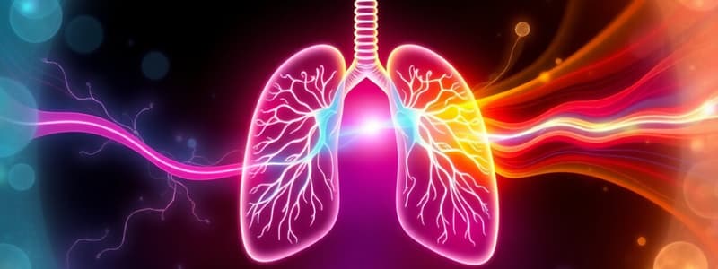 Biology: Cellular Respiration and Gas Exchange