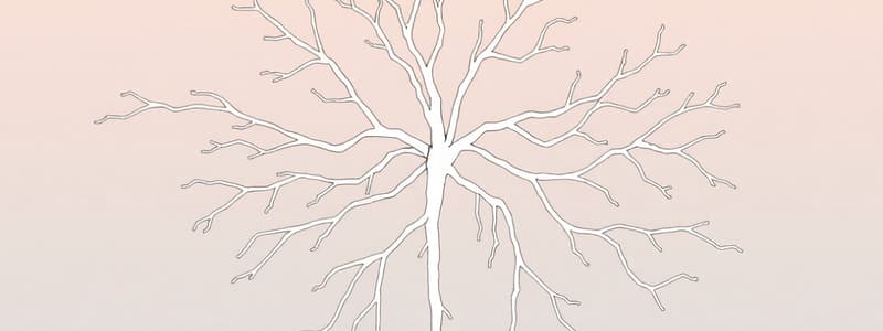 Nervous System Organization Quiz