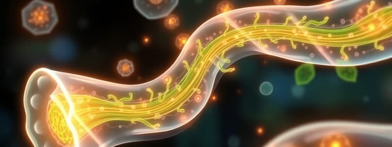 Transport Mechanisms in Cells