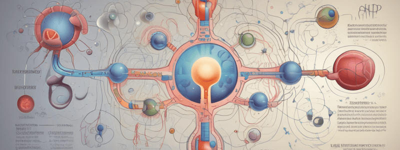 Clinical Significance of Phosphate Homeostasis