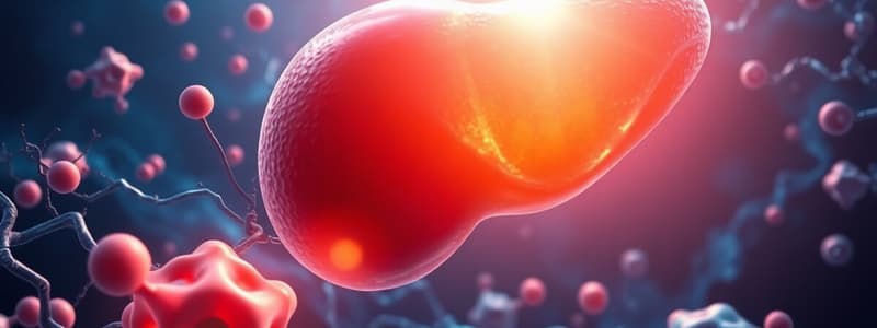 Cholesterol Metabolism Overview