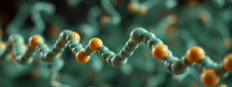 Structure and Function of Macromolecules