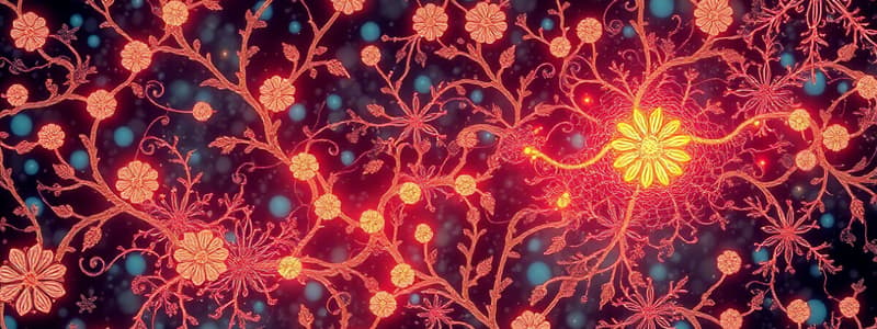 Action Potential Overview and Channels