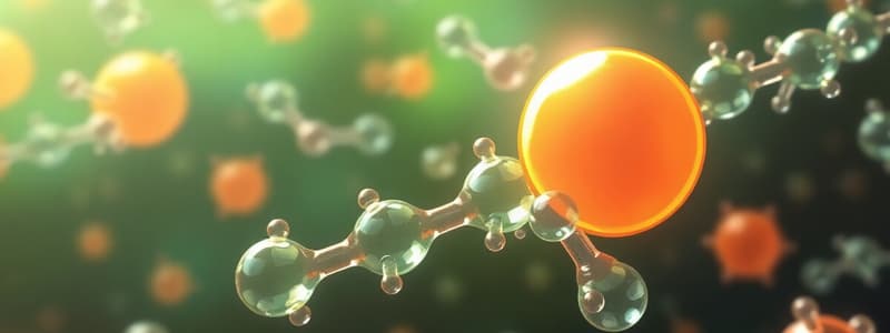 Beta-Lactam Antibiotics Overview