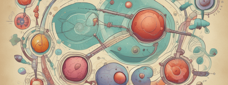 Glucolisis y Fermentación