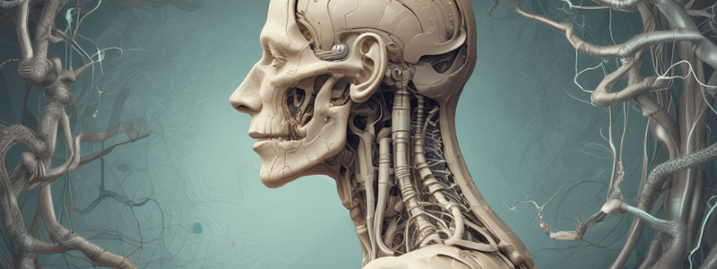 Auditory Pathway and Receptors