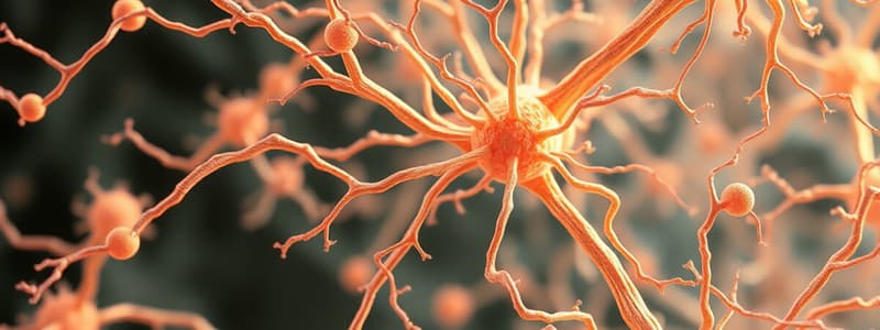 Cytoskeletal Filaments and Functions