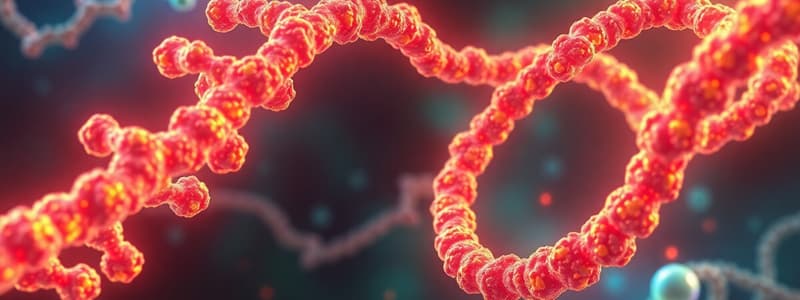 Nucleic Acid Synthesis Inhibitors